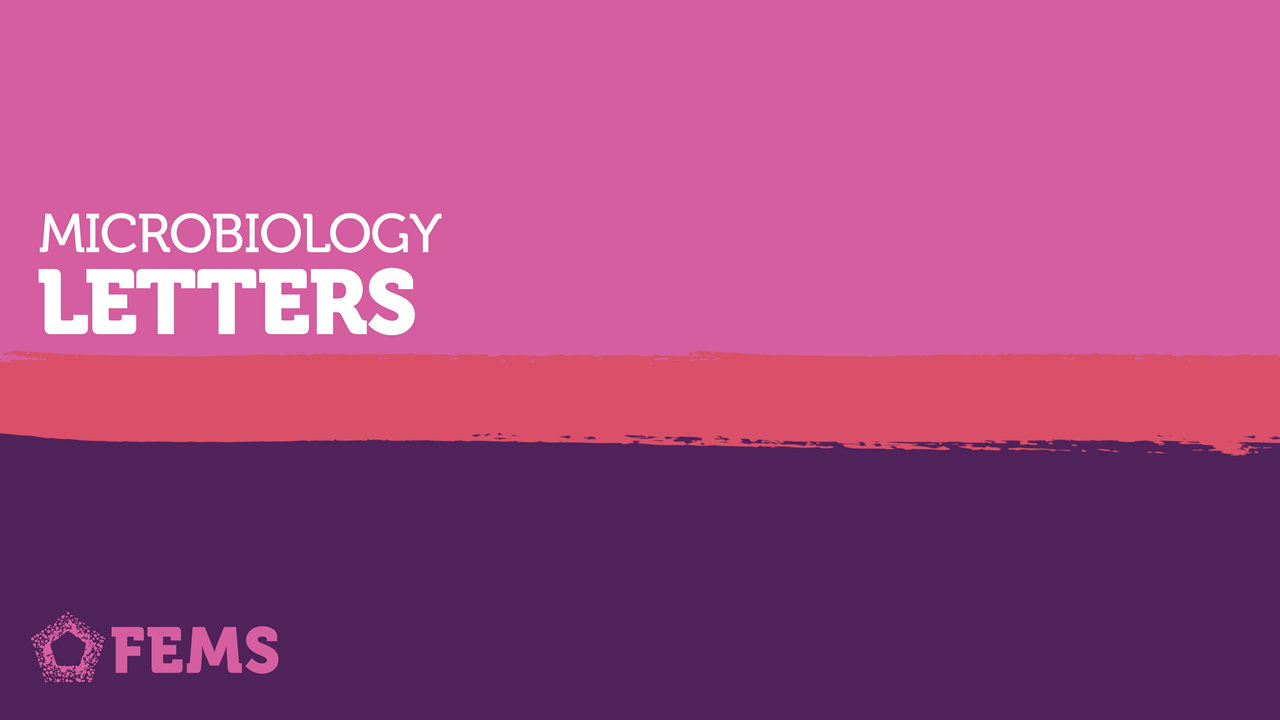 bg-overlay